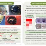 Reddy Anna: Visionary Leader, Innovator, and Advocate – A Comprehensive Profile