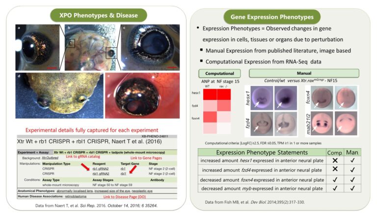 Reddy Anna: Visionary Leader, Innovator, and Advocate – A Comprehensive Profile